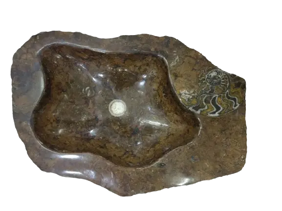Fossil sink Wholesale - Sink Fossil Products Morocco - Fossil Marble sinks Design