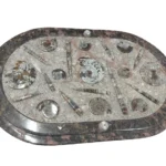 An oval marble table with multiple fossil inlays, including ammonites and orthoceras, highlighting the rich diversity of prehistoric marine life preserved in stone.