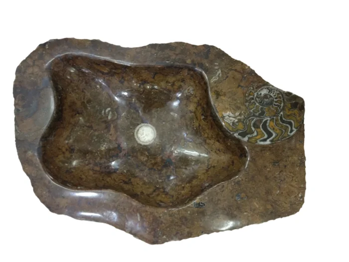 An elegant fossilized marble sink from Erfoud, Morocco, featuring a natural stone finish and embedded with ancient fossils, showcasing unique patterns and craftsmanship.