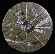 A round marble tabletop featuring a radial design of embedded orthoceras fossils, creating a striking geometric pattern against the stone's natural background.