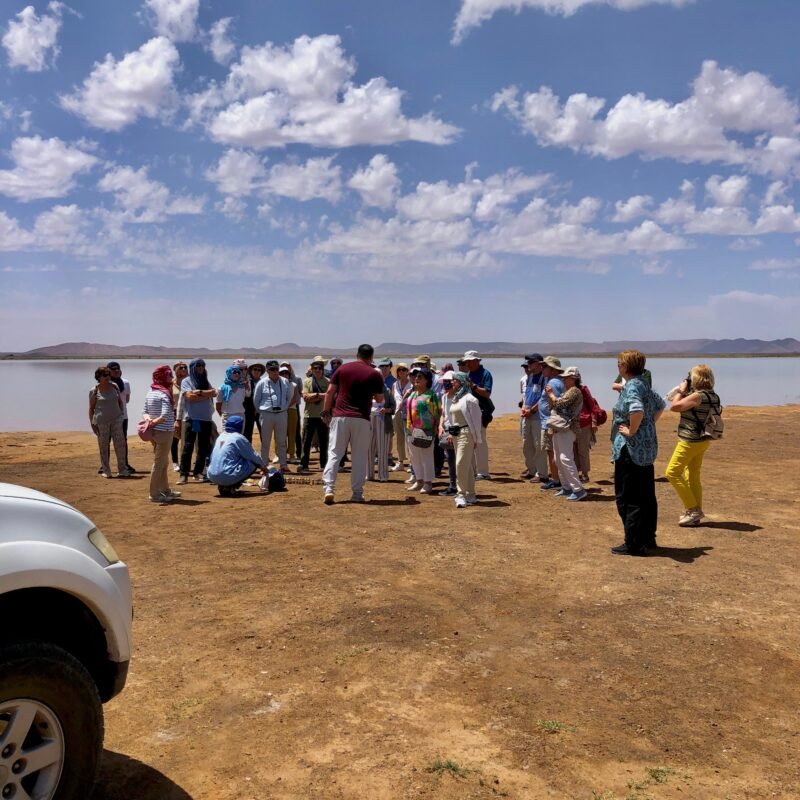 Errachidia desert tour