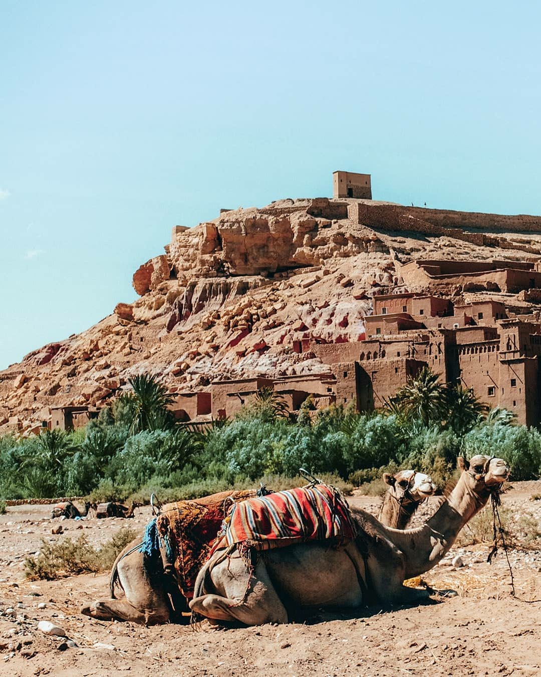 shared 3 days marrakech desert tour to merzouga